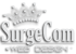 SurgeCom Web Design